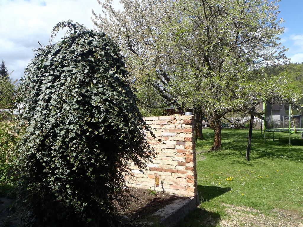 Penzion Villa Marion Marianske Lazne Exterior foto