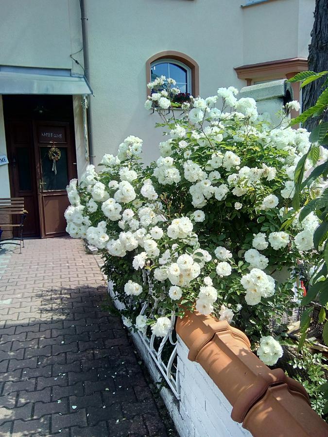 Penzion Villa Marion Marianske Lazne Exterior foto